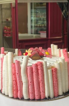 VACHERIN